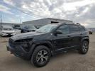 Jeep Cherokee Trailhawk Image 1