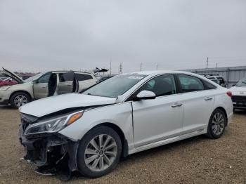  Salvage Hyundai SONATA