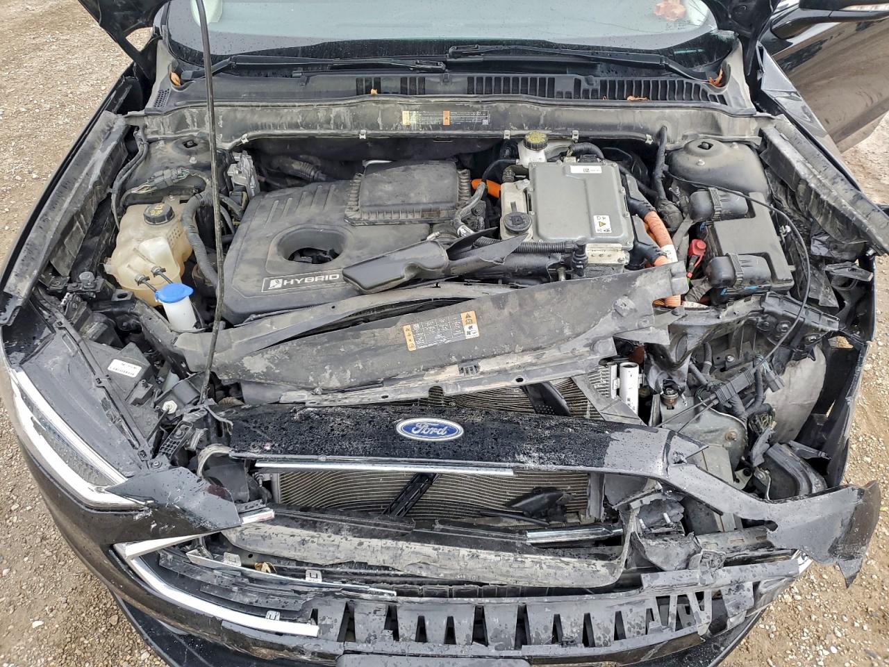Ford Fusion Titanium/platinum Hev Image 12