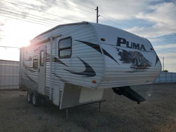  Salvage Puma Palamino