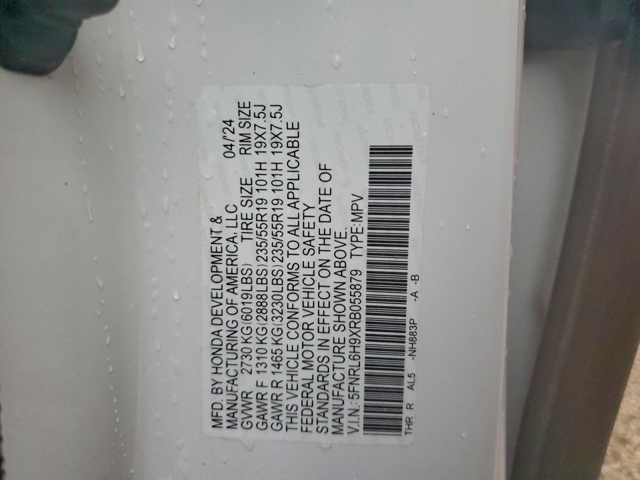 Honda Odyssey Elite Image 5